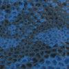 Camoscio Stampato Glitter Blu