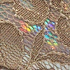 Iridescent Lace